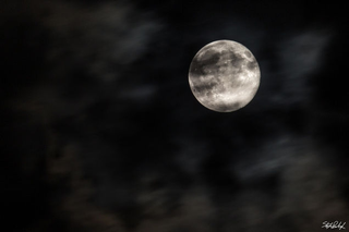 Illustration for article titled Las fotos más hermosas de la última superluna